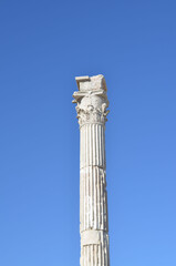 Column of the roman forum city