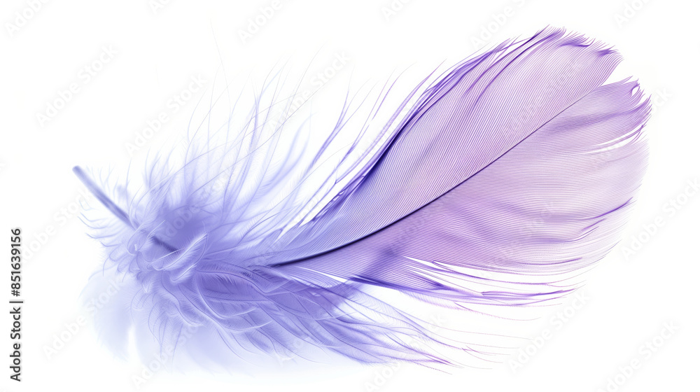 Wall mural A purple feather with a white background. The feather is long and thin, with a purple hue. Concept of elegance and grace, as feathers are often associated with birds and their natural beauty