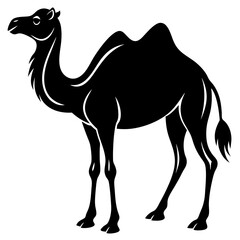 black-silhouette-of--camel--on-white-background