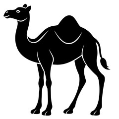 black-silhouette-of--camel--on-white-background