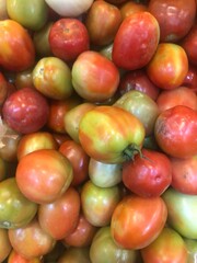 tomatoes showing blotchy ripening, spotted ripening or chocolate disorder, significantly reduce the marketable yield, putting the grower at risk