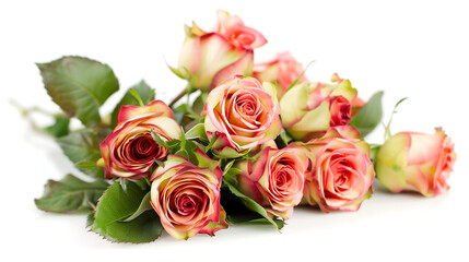 Fototapeta premium bouquet of pink roses isolated on white background