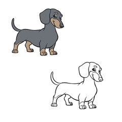 Cartoon dachshund drawing with line art style. Simple design outline style. Easy to edit. Vector illustration