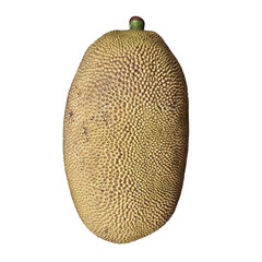 a natural green jackfruit 