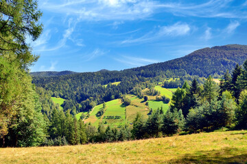Obraz premium Summer trees and pasture in a beautiful mountain landscape. Summer landscape in Sadecki Beskids, Poland.