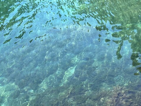 Sea aqua clear glittering surface with algae on the seabed.