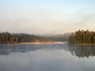 landscape with fog on a summer morning