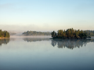 fog on a forest lake on a summer morning