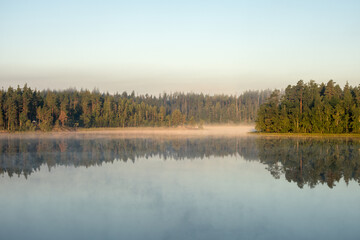 fog on a forest lake