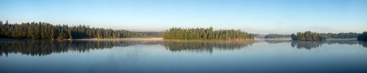 forest lake on a summer morning
