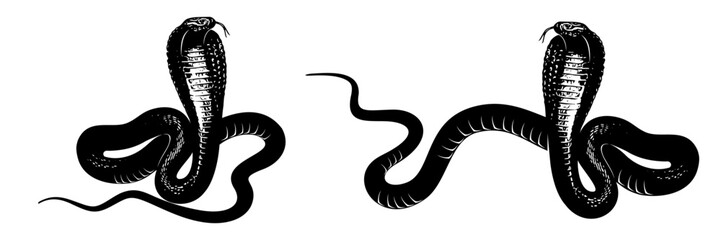 Fototapeta premium snake silhouette vector