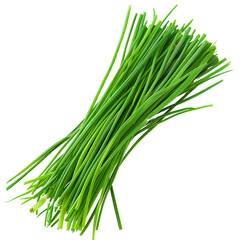 Fototapeta premium A fresh bundle of green grass isolated on a white background. Perfect for natural, organic, and eco-friendly themes in stock photography.