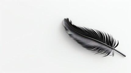 A 3D black feather is floating on a white background, Copy space for text on left