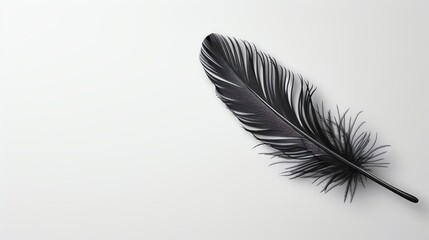 Obraz premium A 3D black feather is floating on a white background, Copy space for text on left