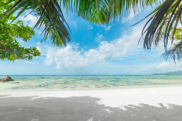 White sand, coral reef and palm trees in a tropical beach