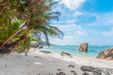 Palm trees and graniter rocks in a tropical beach