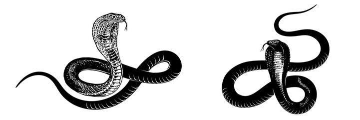 snake silhouette vector 