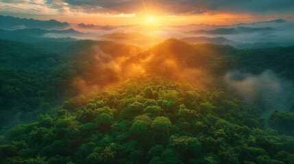 Aerial top view forest tree, Rainforest ecosystem and healthy environment concept background, Texture of green tree forest view from above, Beautiful sunrise over the mountains of western Thailand.