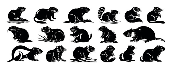 Beaver silhouettes. Rodents icons set. Muskrat, Nutria, American Mink, River Otter Marmot. Set of European beaver silhouettes. Set of Solid black outline beaver Silhouette Design with white Background