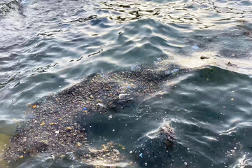 stain of oil or fuel on water surface, dirty sea water, nature pollution by toxic chemicals
