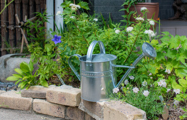 趣味の野花のガーデニング大きなじょうろで水やり © neco.note