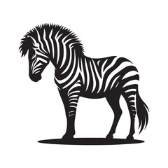 silhouette of zebra illustration