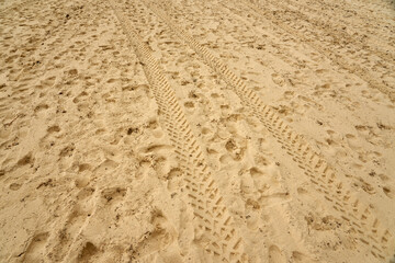 Traces of people and vehicles in the sand.