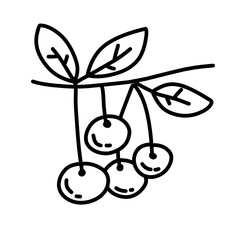 cherry fruit doodle icon