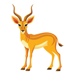 Antelope isolated on white background