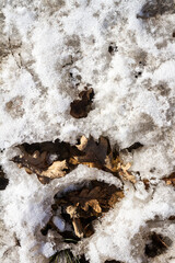 Spring ground covered with thawing snow