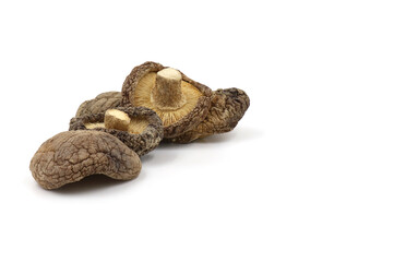 dried shiitake mushrooms isolated on white background