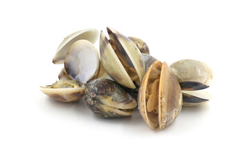 Closed up fresh baby clams, venus shell, shellfish, carpet clams, short necked clams, as raw food from the sea are the seafood ingredients. fresh clams isolated on white background.