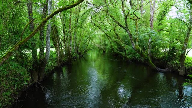 Spring landscape on the Mi&ntilde;o River in "As Insuas do Mi&ntilde;o" in the municipality of R&aacute;bade. Santiago's road. Lugo. Galicia. Spain. Europe