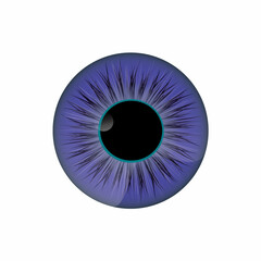 eye of the person