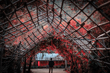 inside of an building