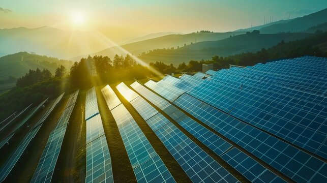 A solar farm with rows of solar panels
