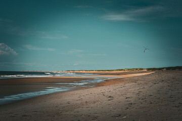 beach in the morning