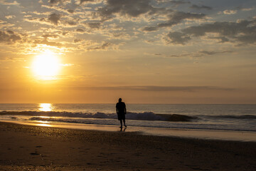 person walking on the beach