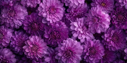 Fototapeta premium Purple Flower Bouquet Macro Photography
