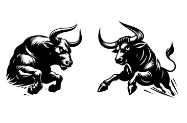 Fototapeta premium Ox Attacking Time Vector Style with white background 2
