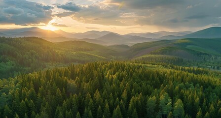 Mountain landscape with forested hills with fog in the valley at sunrise.