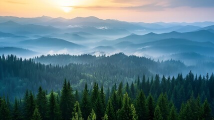 Obraz premium Mountain landscape with forested hills with fog in the valley at sunrise.