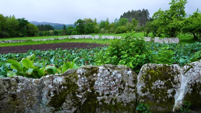 Surroundings of the late-Roman sanctuary of Santa Eulalia de B&oacute;veda (3rd century) in the parish of Santalla de B&oacute;veda de Mera in the municipality of Lugo. Santiago's road. Province of Lugo. Galicia. S