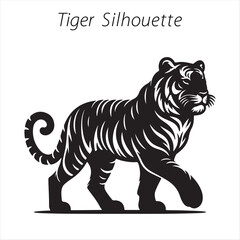 tiger on white background