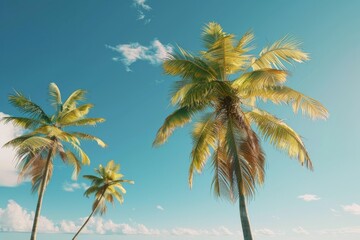 Palm trees sway gently in the breeze, set against a stunning clear blue sky. A tranquil scene that evokes feelings of relaxation and calmness.
