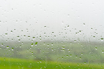 Raindrops speckle a window, revealing lush greenery beyond.