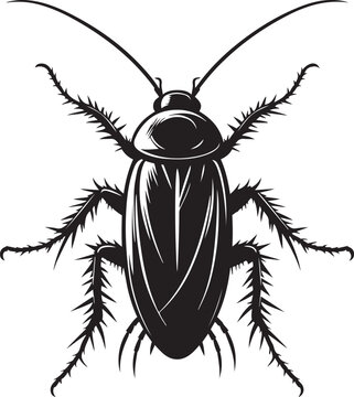 black cockroach insect detailed view clip art preview
