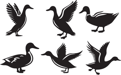 Duck silhouette set vector illustration.