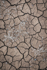 Dry Ground
