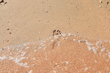 The footprint of a woman's foot on the sand is washed away by a wave
